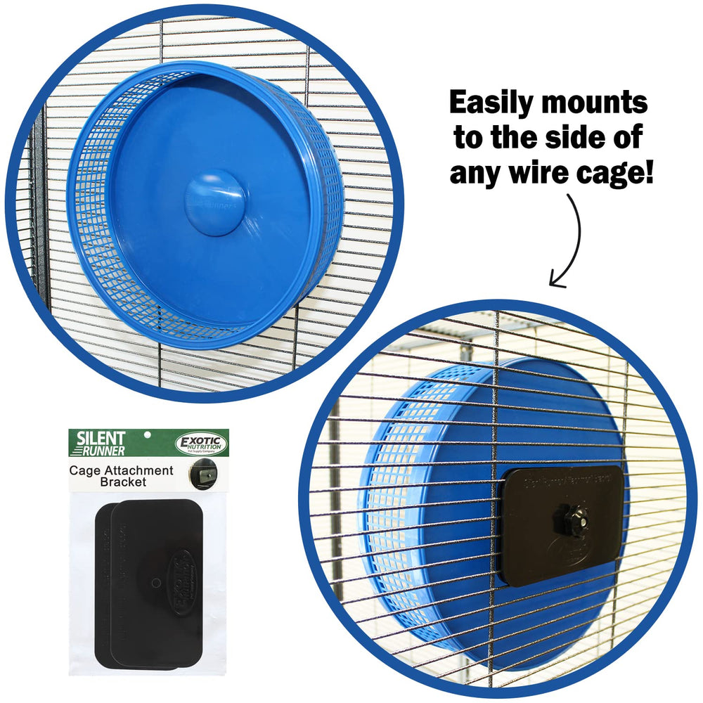 Cleaning demo of Exotic Nutrition Silent Runner Pro wheel blue with hand wash care.
