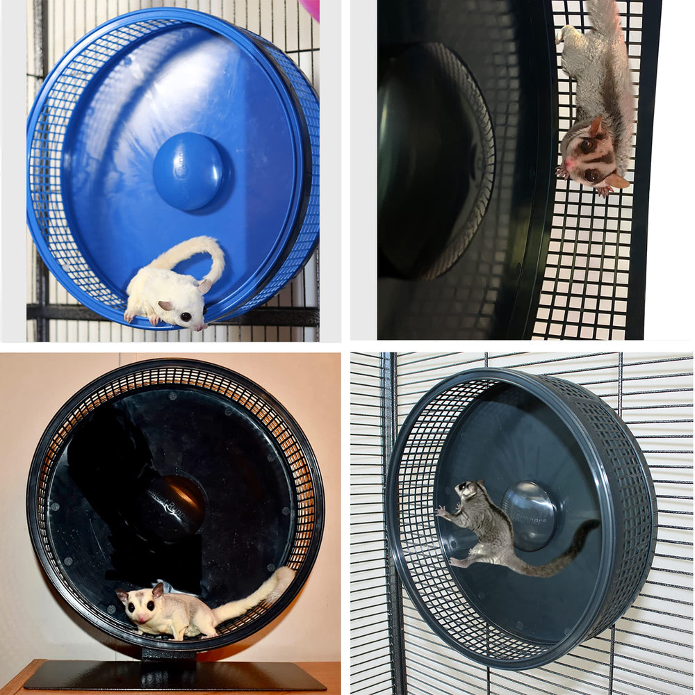 Exotic Nutrition Silent Runner Pro wheel blue side view highlights smooth rotation for indoor play.