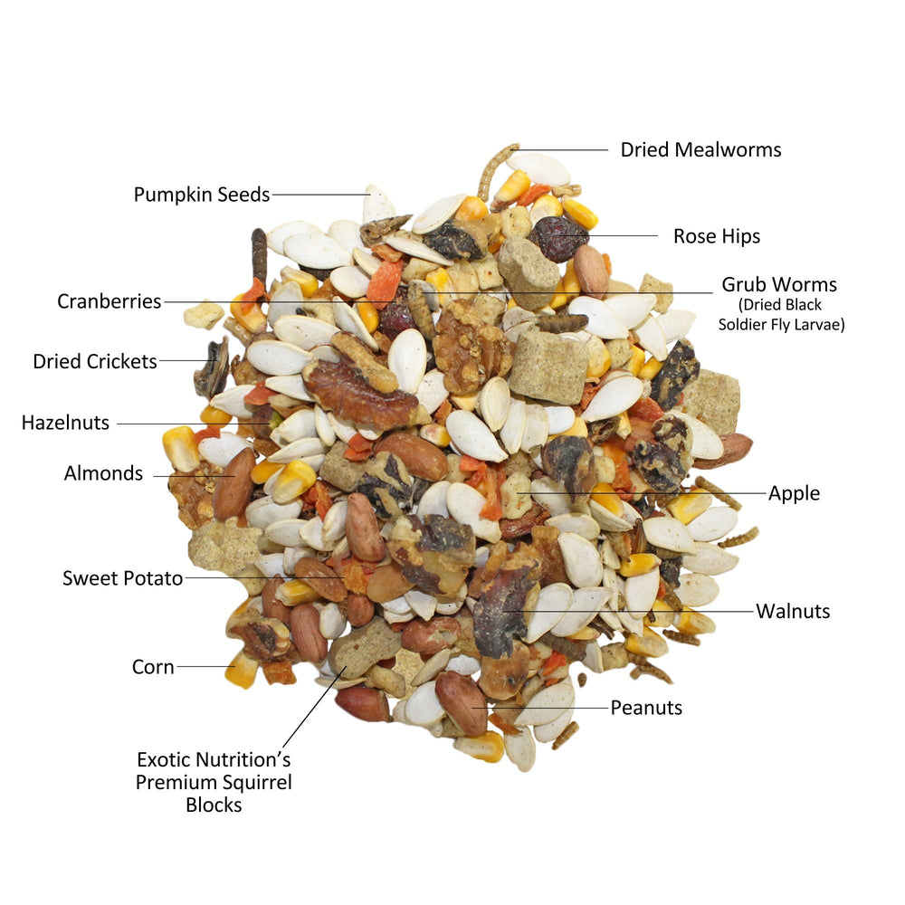 Exotic Nutrition Squirrel Complete dried insects highlight natural protein source.