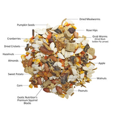 Exotic Nutrition Squirrel Complete dried insects highlight natural protein source.