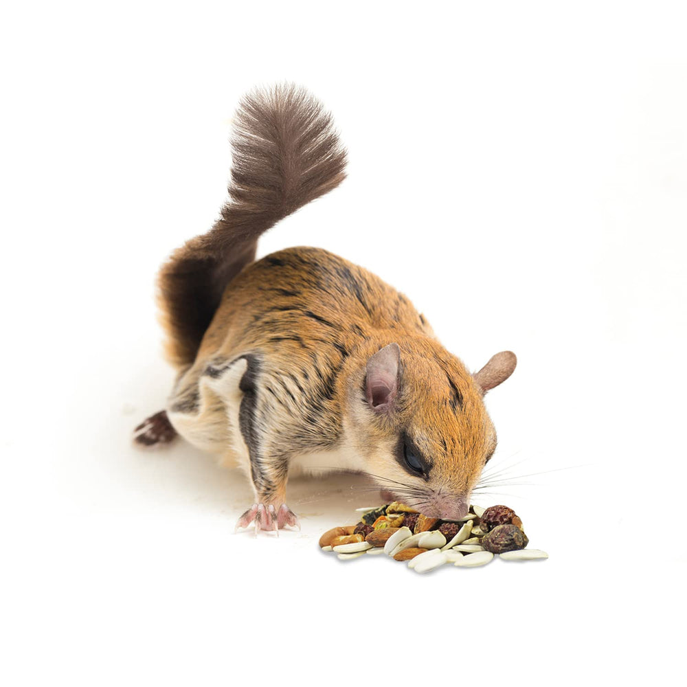 Exotic Nutrition Squirrel Complete fresh-batch packaging conveys quality and freshness.