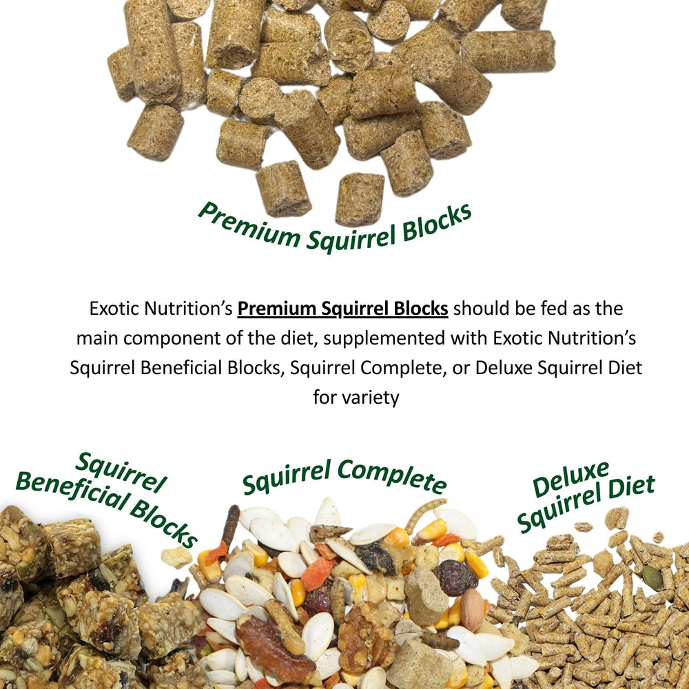 Exotic Nutrition Squirrel Complete serving bowl with colorful mix for daily feeding.