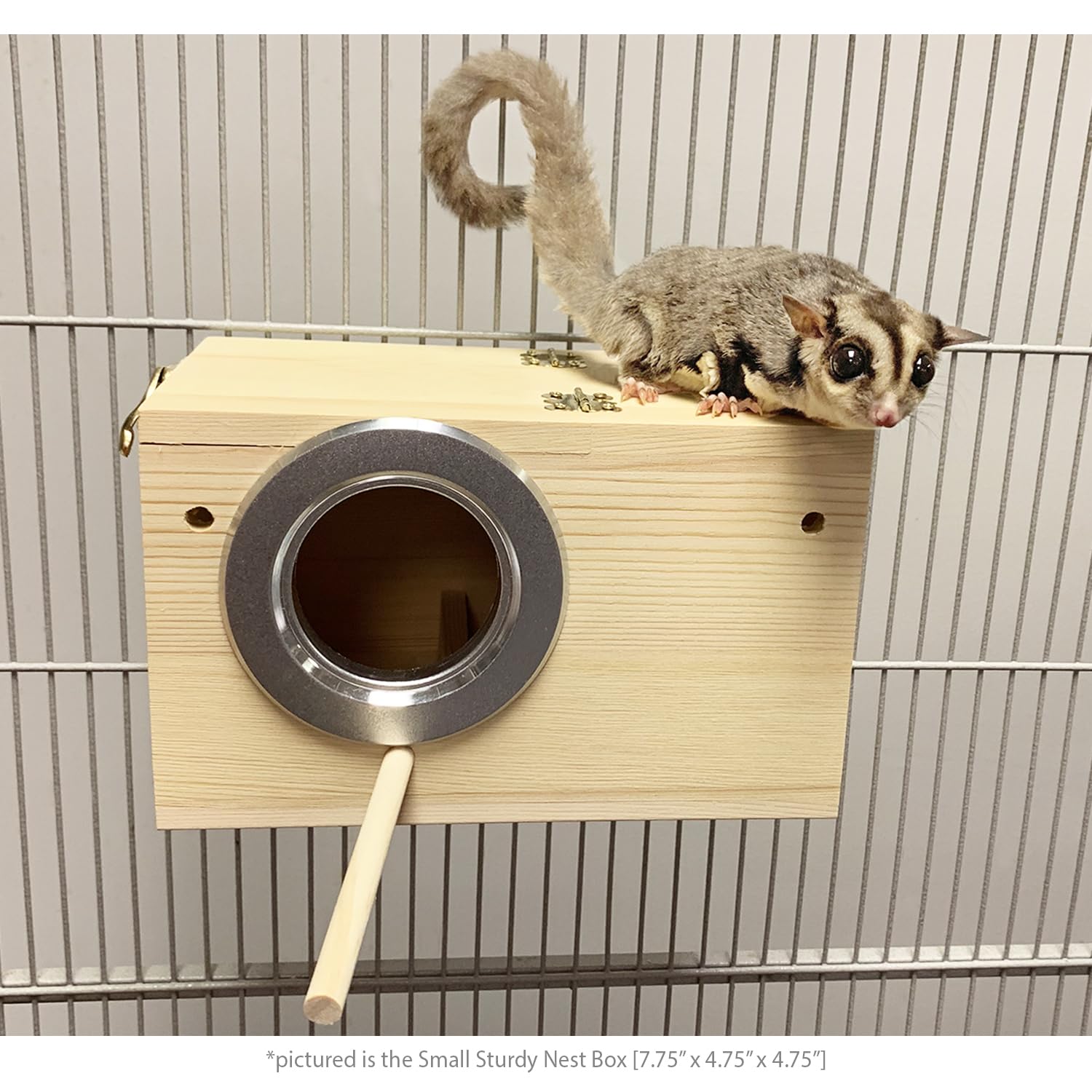 Exotic Nutrition Sturdy Nest Box perching ledge provides natural resting spots for small pets.