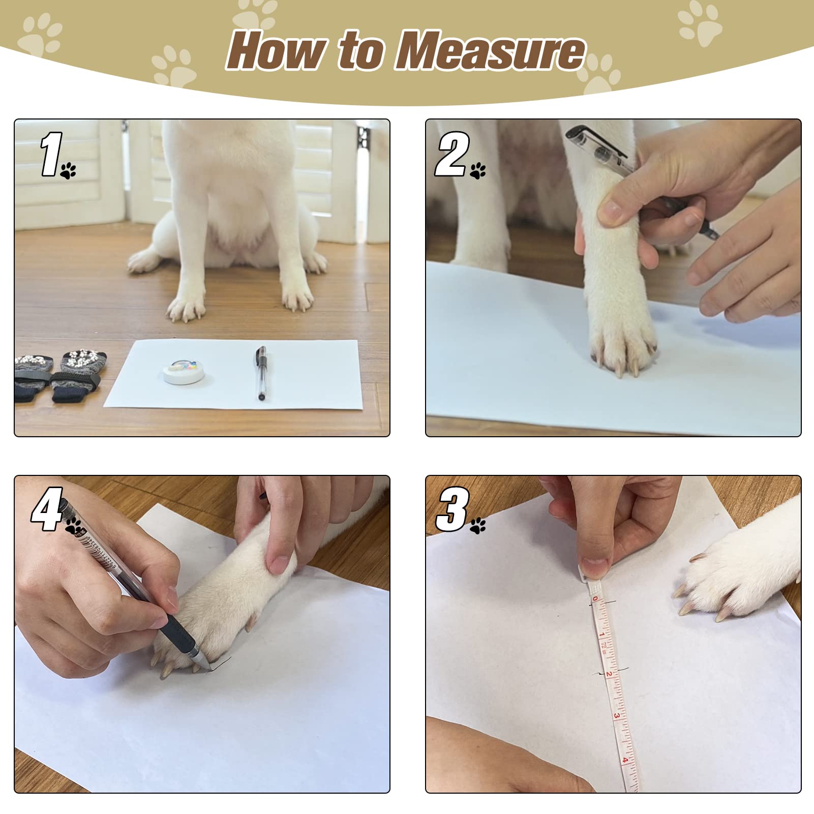 EXPAWLORER three-pair sock pack with six detachable belts