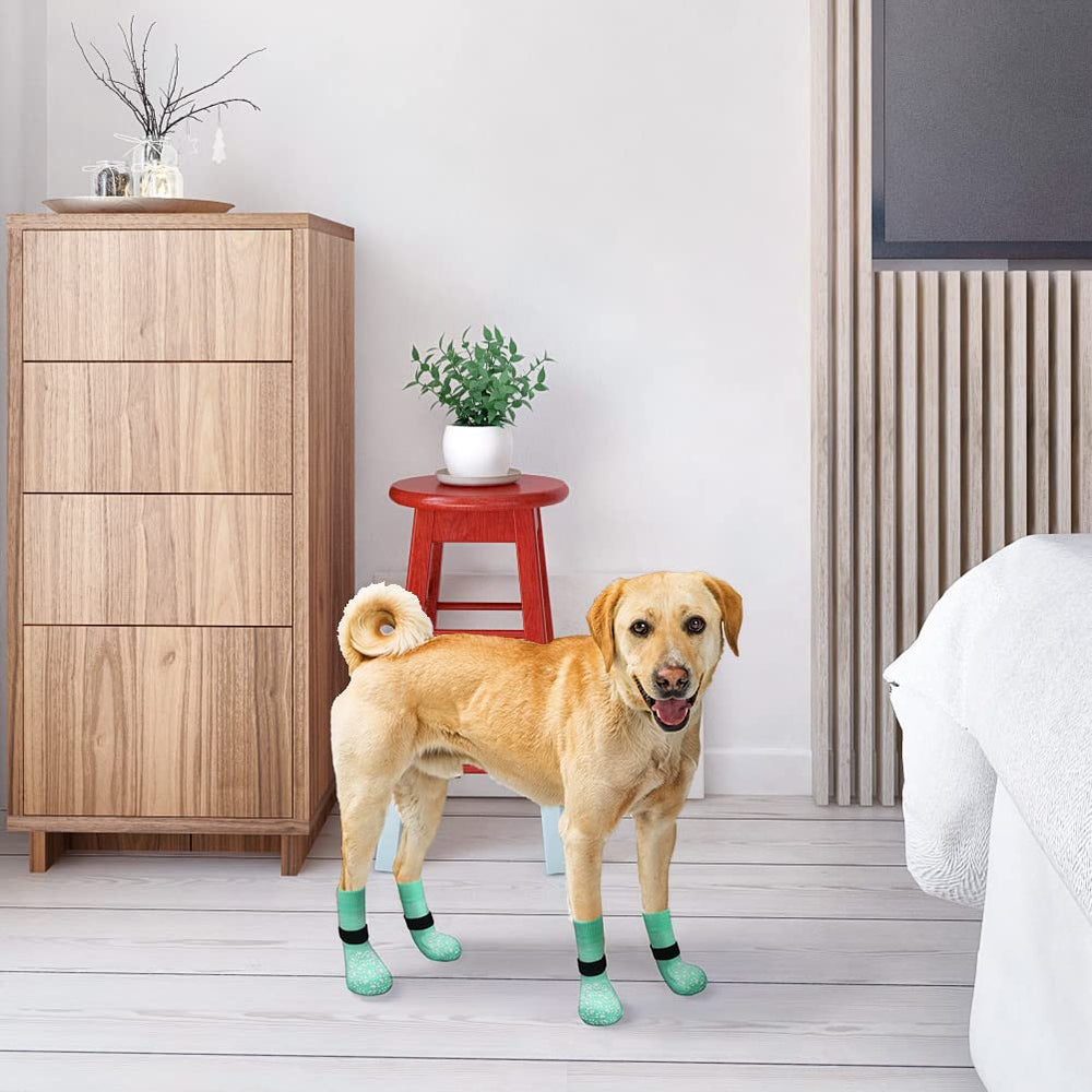 EXPAWLORER dog socks provide traction on wood floor for seniors and active dogs