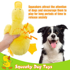 EXPAWLORER dog toy with squeaker activated during training sessions