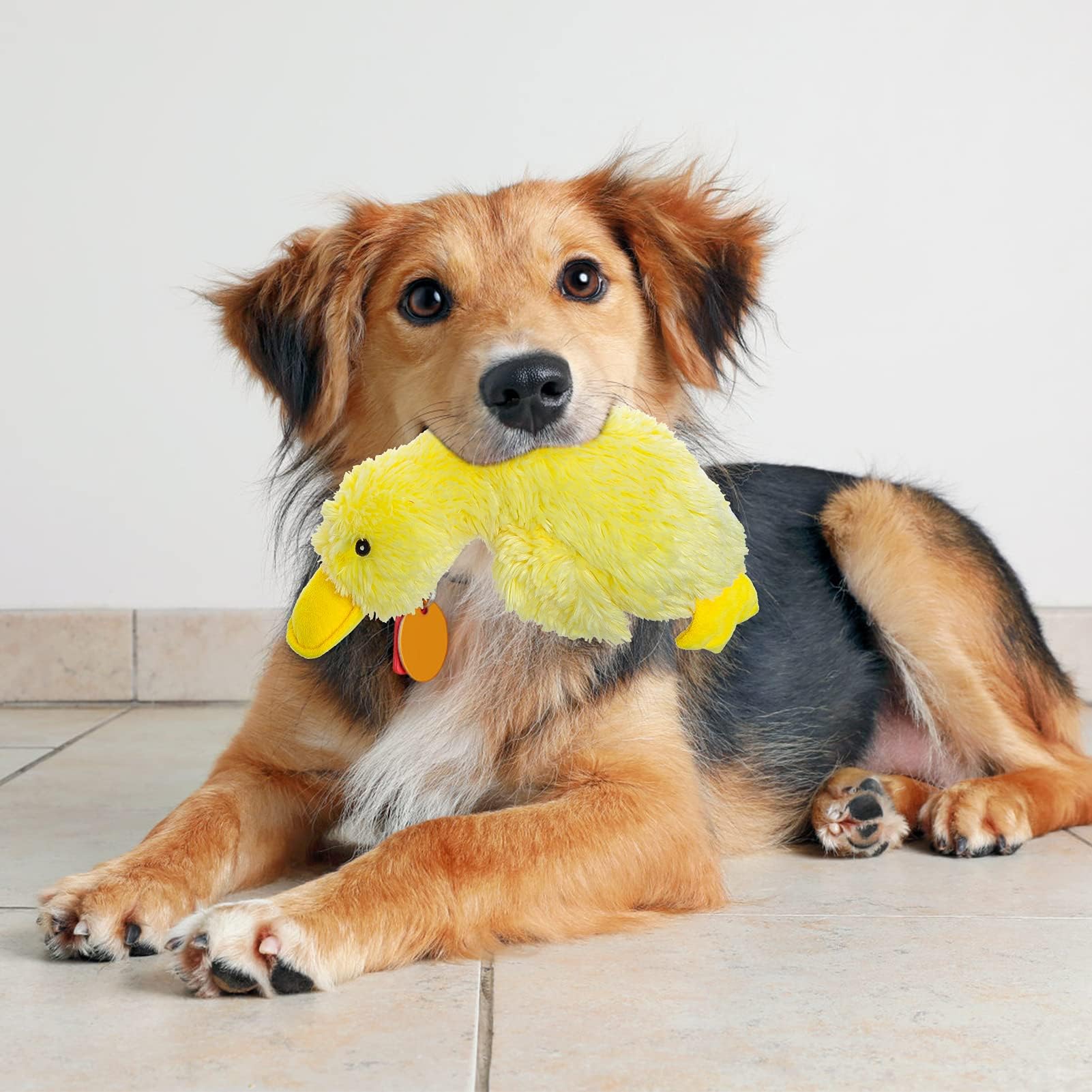 EXPAWLORER interactive duck dog toy promotes busy playtime for dogs