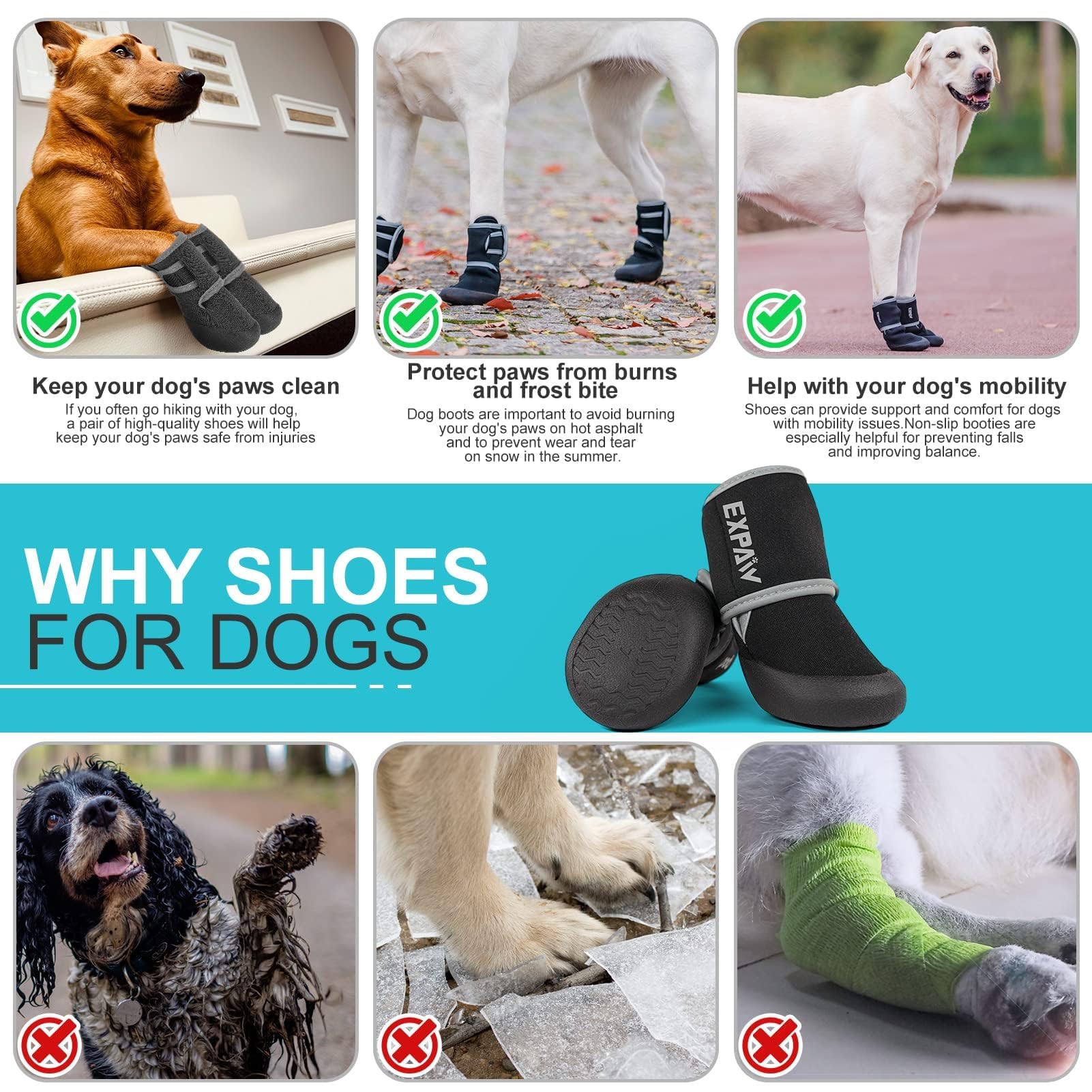 Expawler size-chart reference image showing careful sizing for better comfort