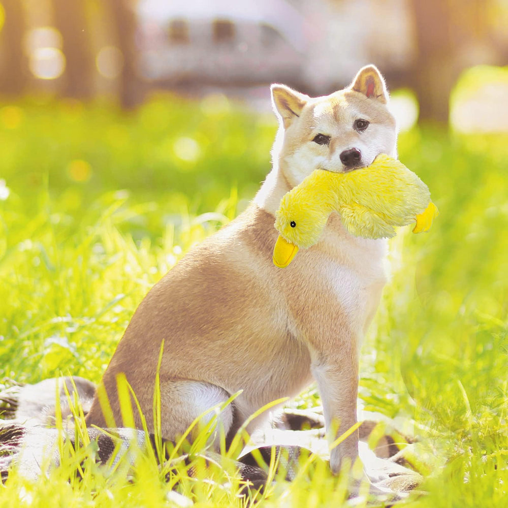 EXPAWLORER squeaky duck toy supports teething-friendly play and comfort