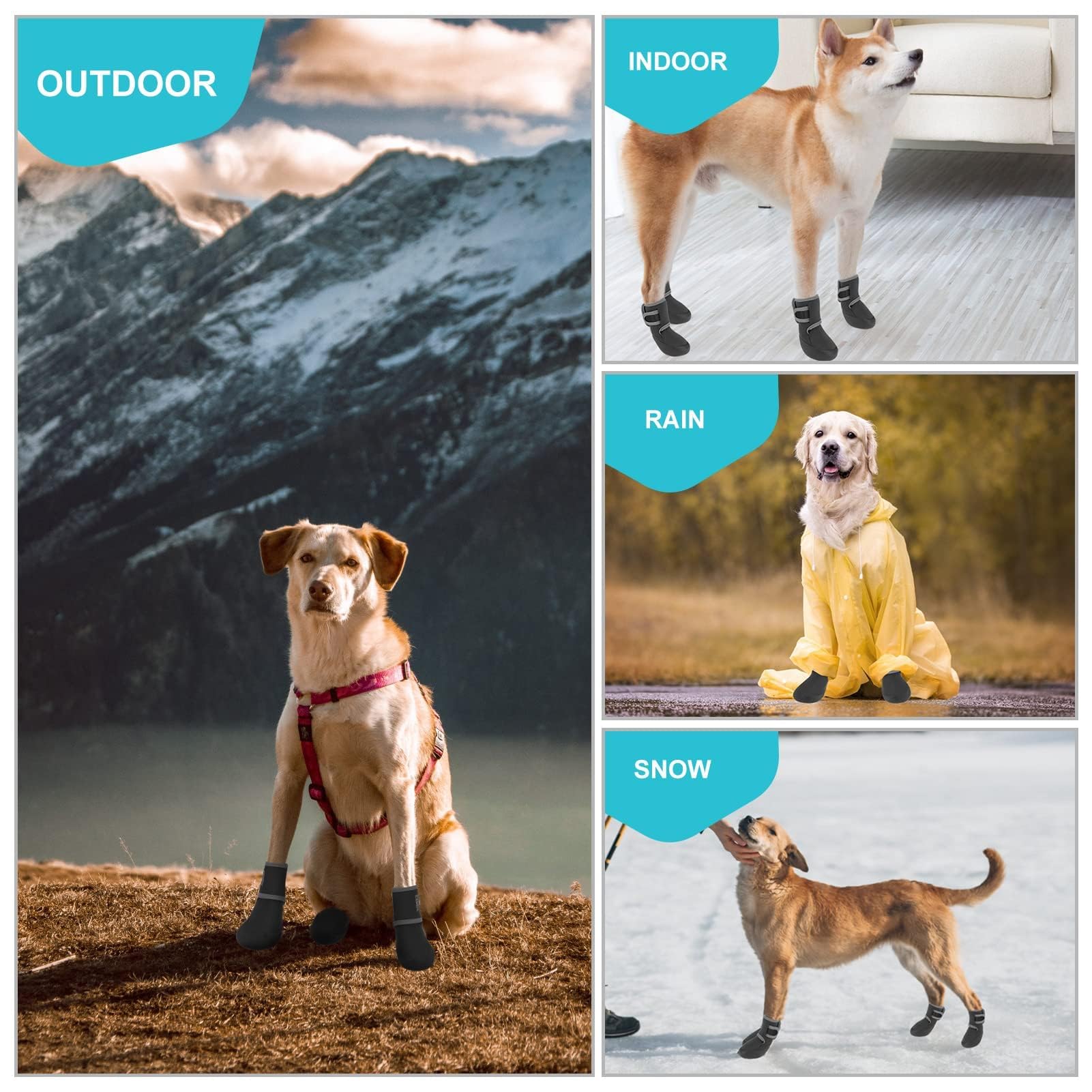 Expawler waterproof-dog-boots in wet-weather use keeping paws dry