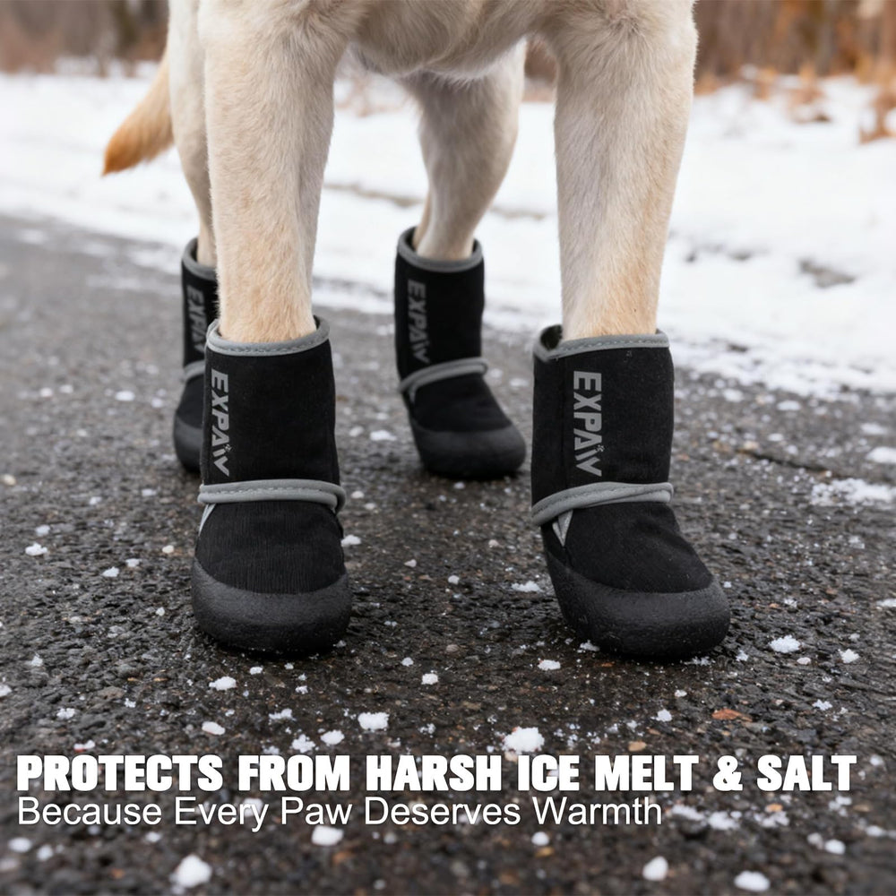 Expawler waterproof dog shoes on paw showing protection against hot pavement