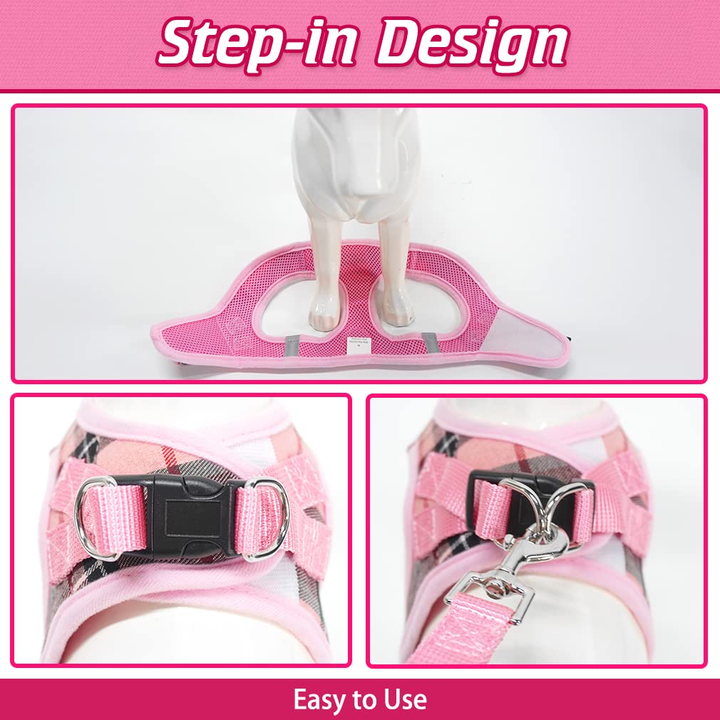 EXPAWLORER AirTag case secured to harness for easy locating