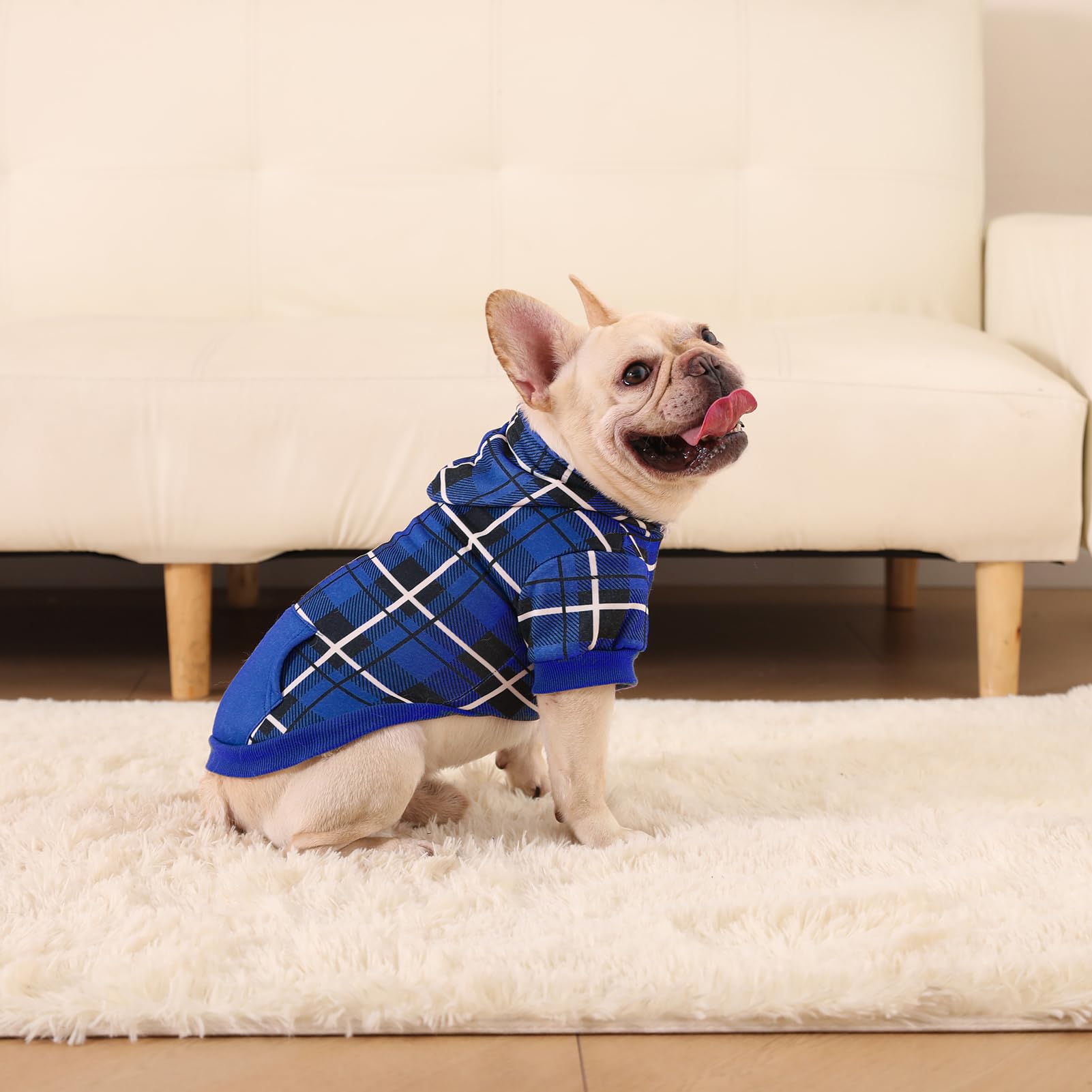 EXPAWLORER all-breeds sizing to fit puppies and dogs of various shapes