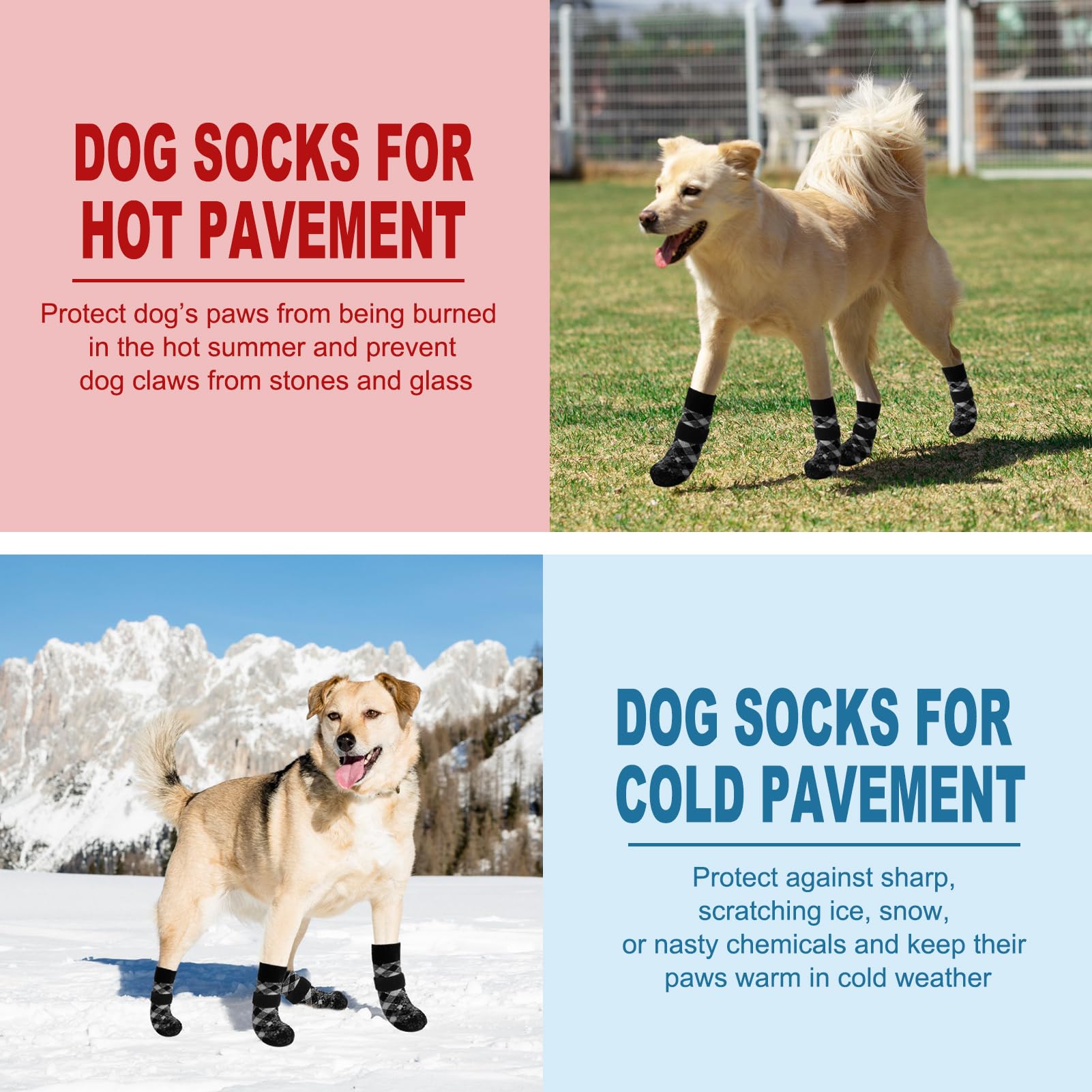 EXPAWLORER botas para patas, uso diario, ideal en casa de madera.