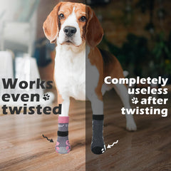 Calcetines Expawlorer para perro, diseño con Velcro, se ajusta y evita caídas.