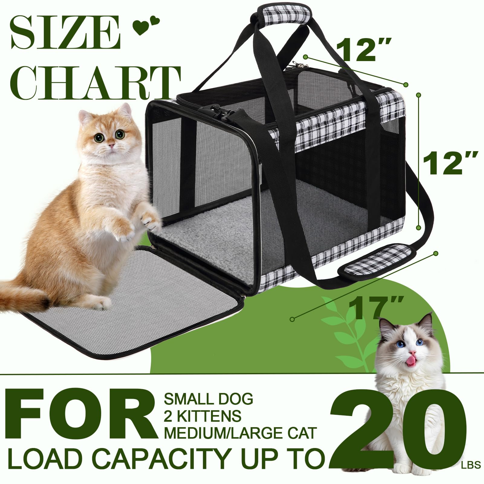 EXPAWLORER cat carrier soft-sided cabin view highlights spacious interior for relaxed travel