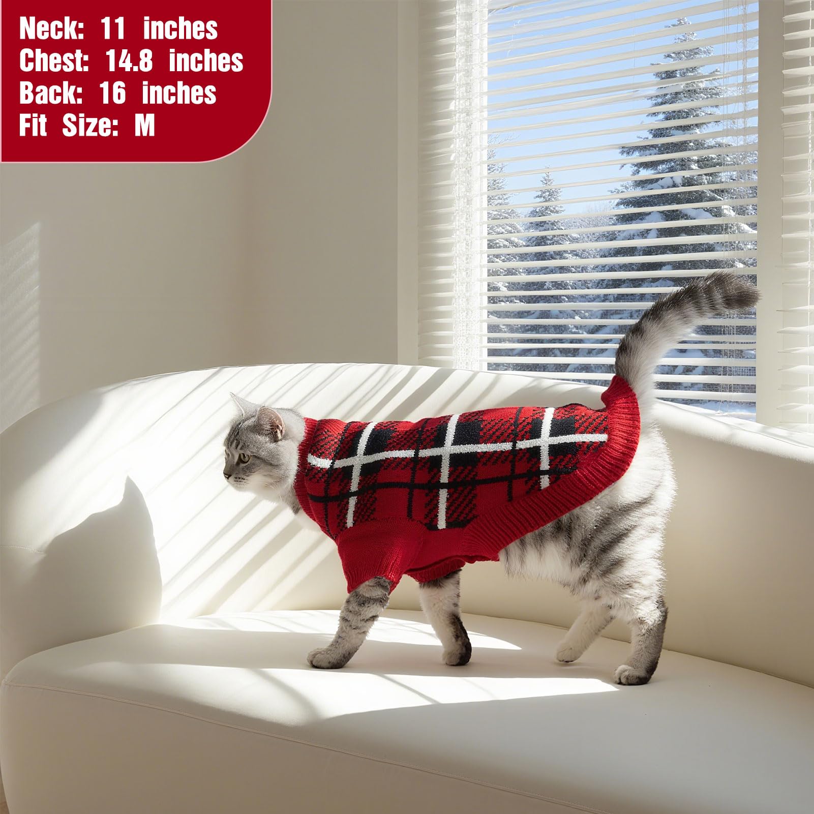 EXPAWLORER cat sweater cardigan warmth-coverage demonstrates full back protection for cold days.