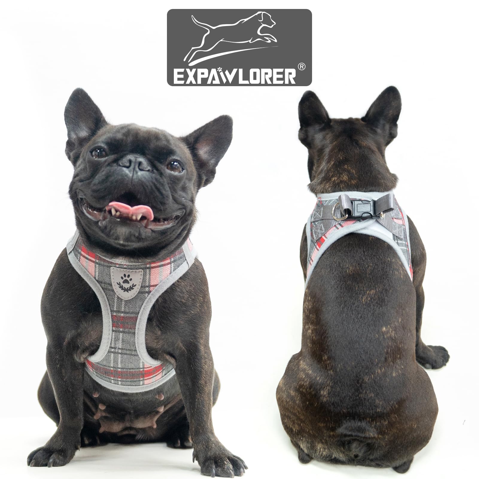EXPAWLORER reflective strap feature, improved visibility during evening strolls.