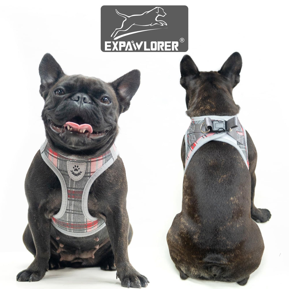 EXPAWLORER reflective strap feature, improved visibility during evening strolls.