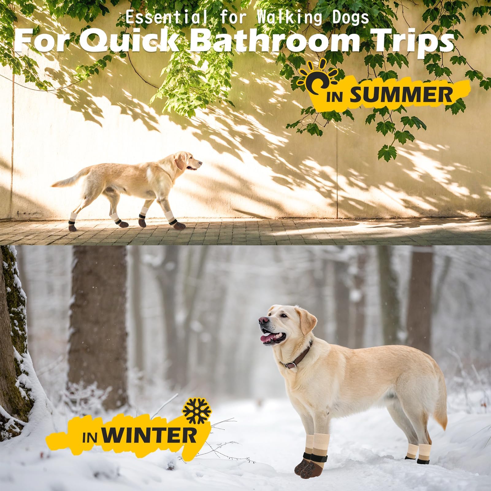 Tallas compatibles EXPAWLORER para perros pequeños, medianos y grandes.