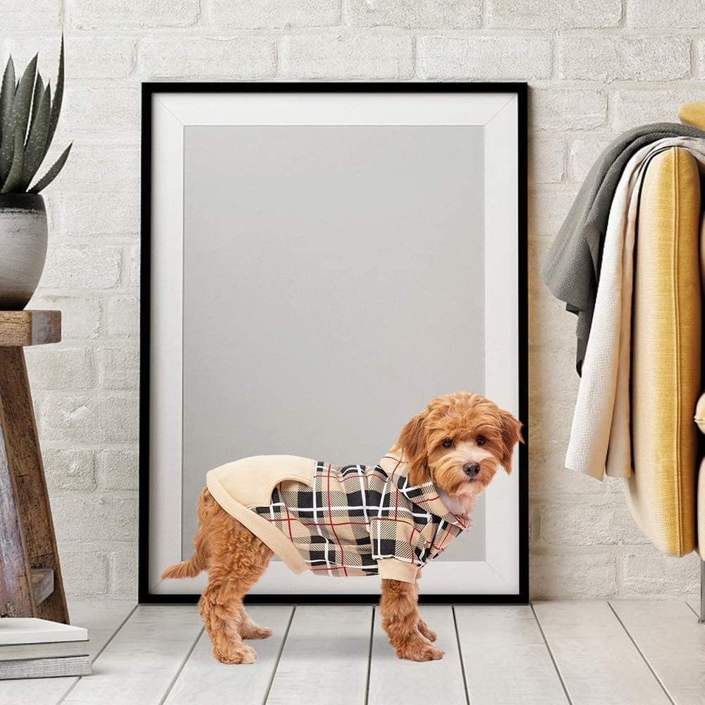 EXPAWLORER cozy winter coat ideal for small and large breeds alike.