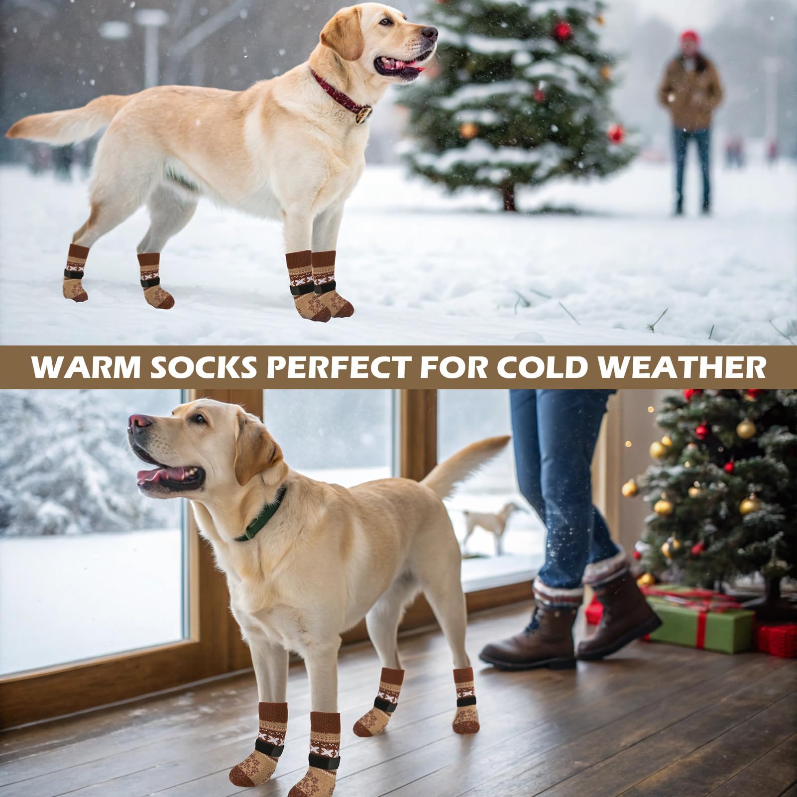 EXPAWLORER diseño pensado para perros mayores y protección de muebles.