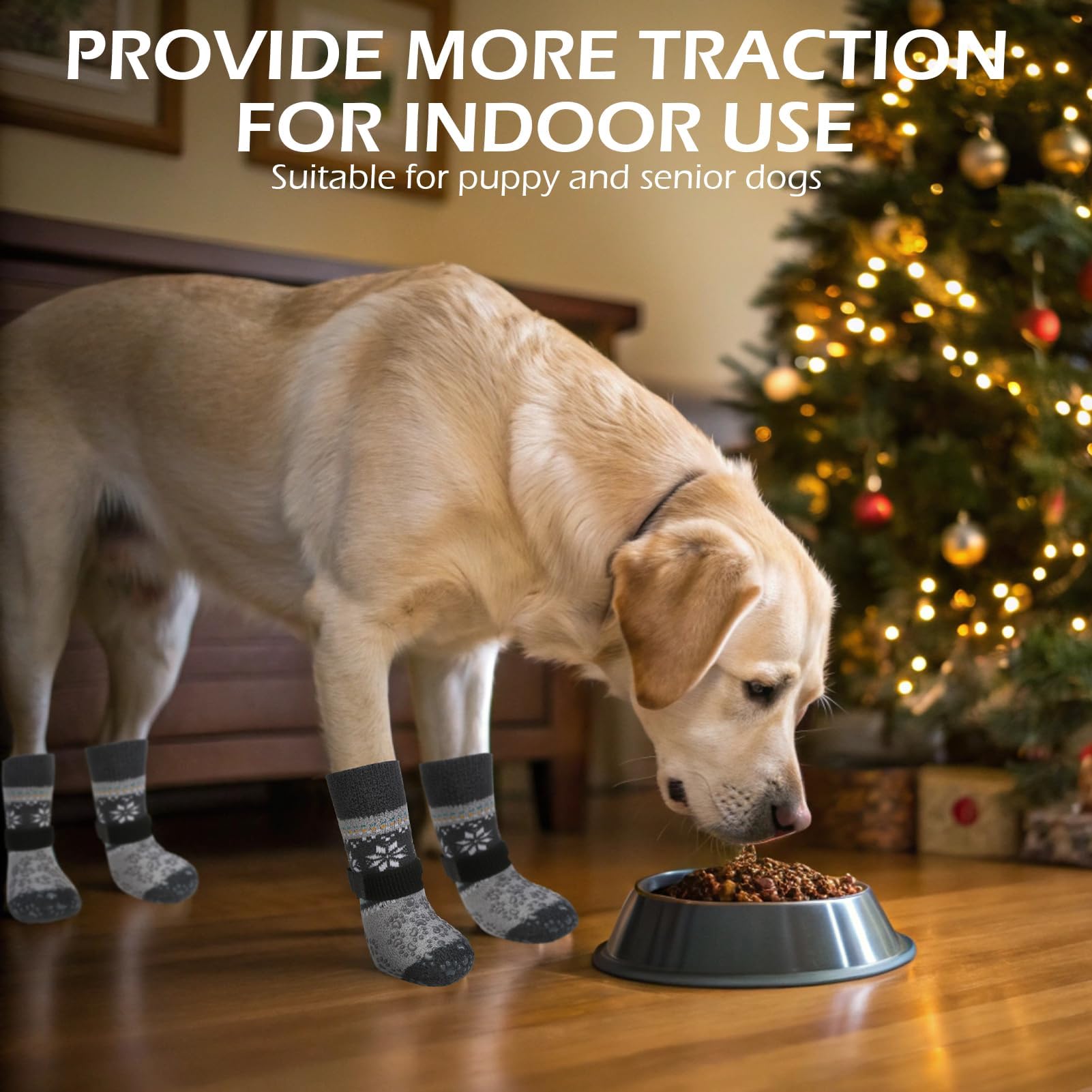 EXPAWLORER diseños navideños para perros