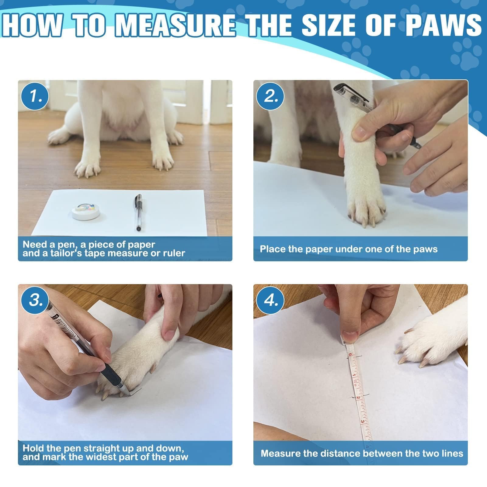 Colores variados de Expawlorer para perros activos.