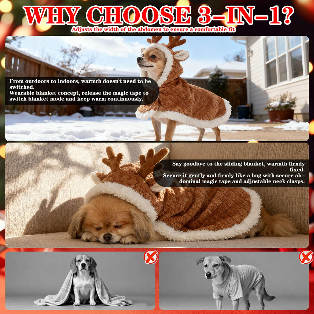 EXPAWLORER dog-adjustable-neck-belly-strap ensures secure, comfortable fit