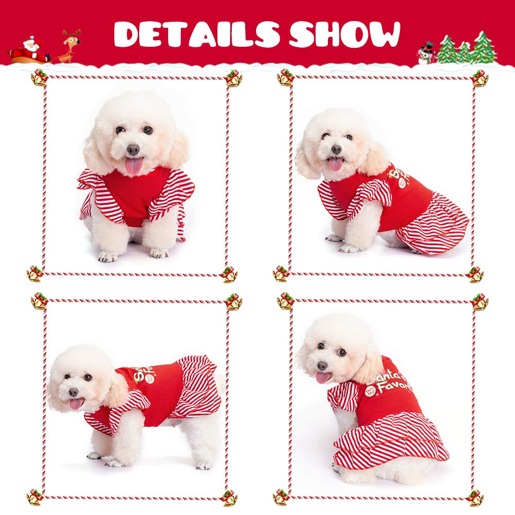 EXPAWLORER dog costume bow detail adds playful dimension.