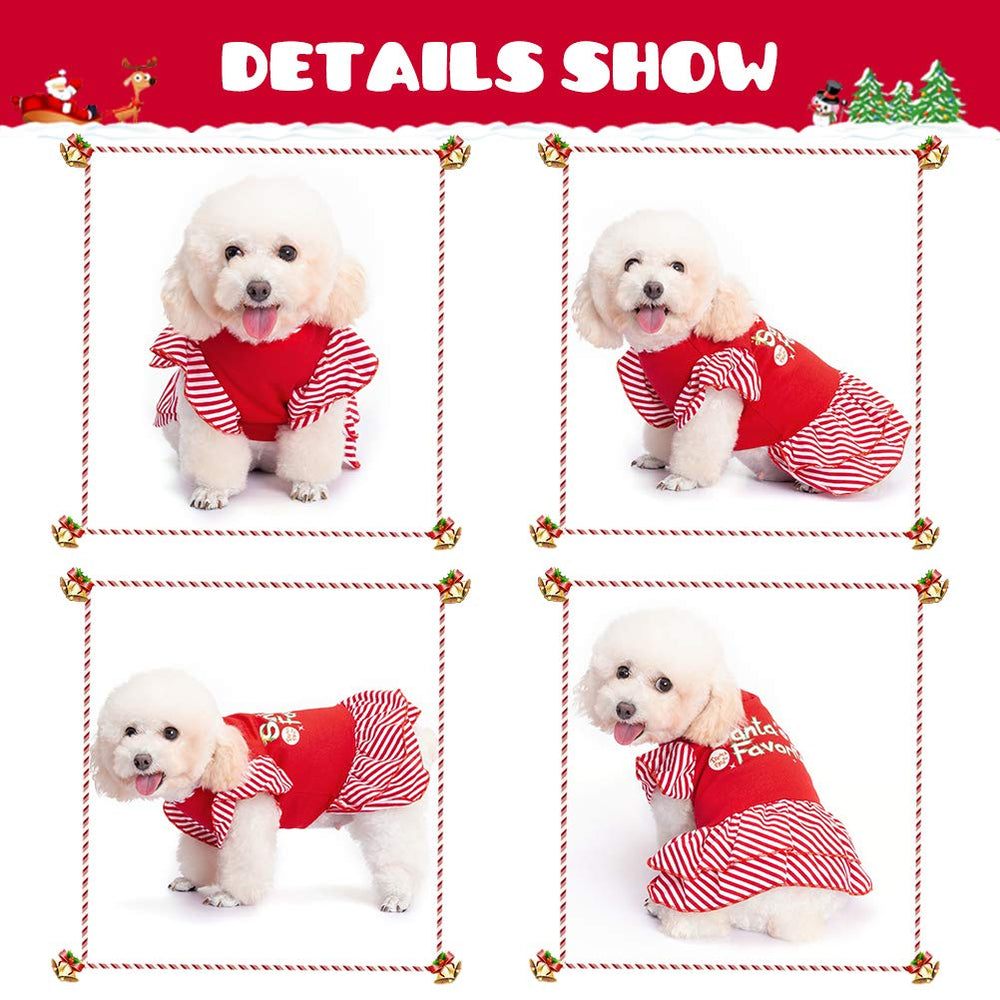 EXPAWLORER dog costume bow detail adds playful dimension.