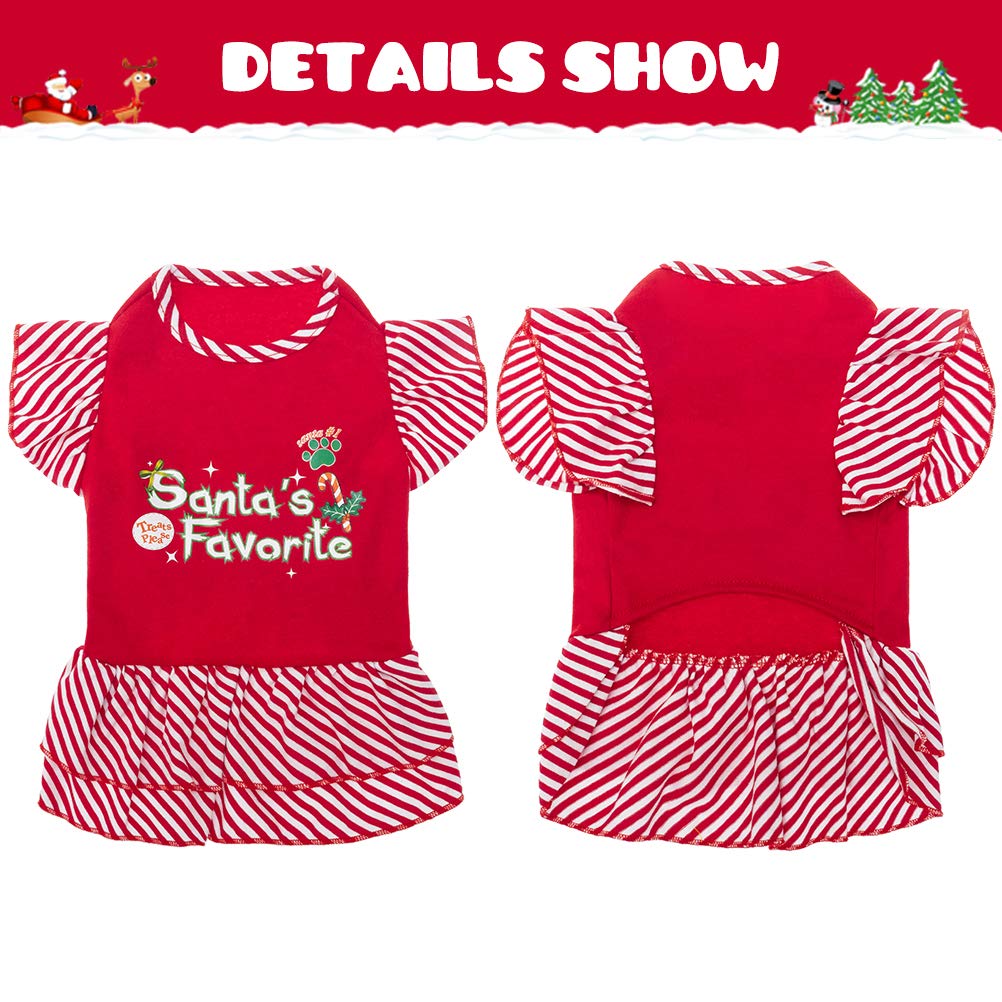 EXPAWLORER dog costume holiday pattern ideal for celebrations.