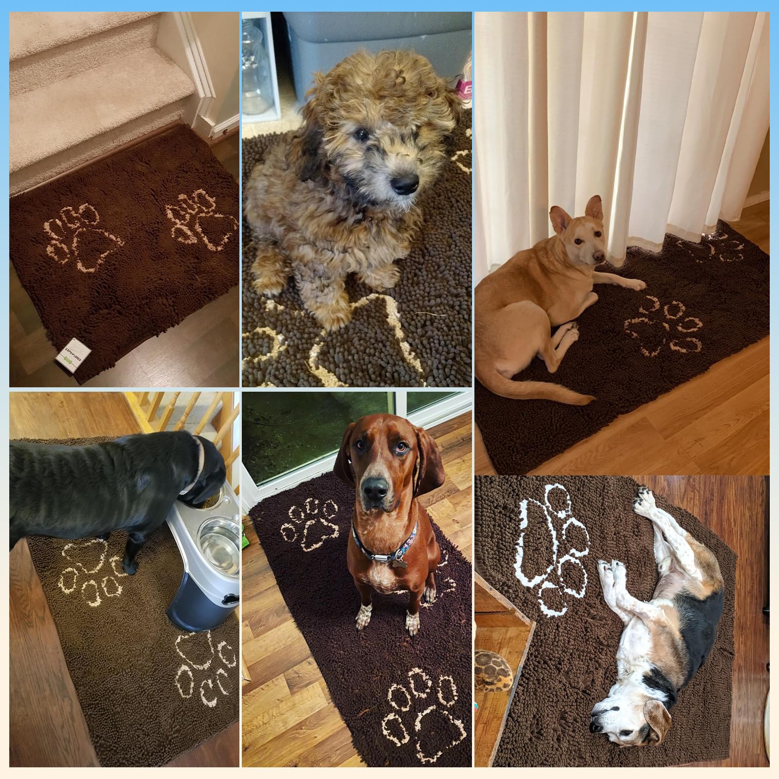 EXPAWLORER mat suitable for indoor and outdoor use around home zones.