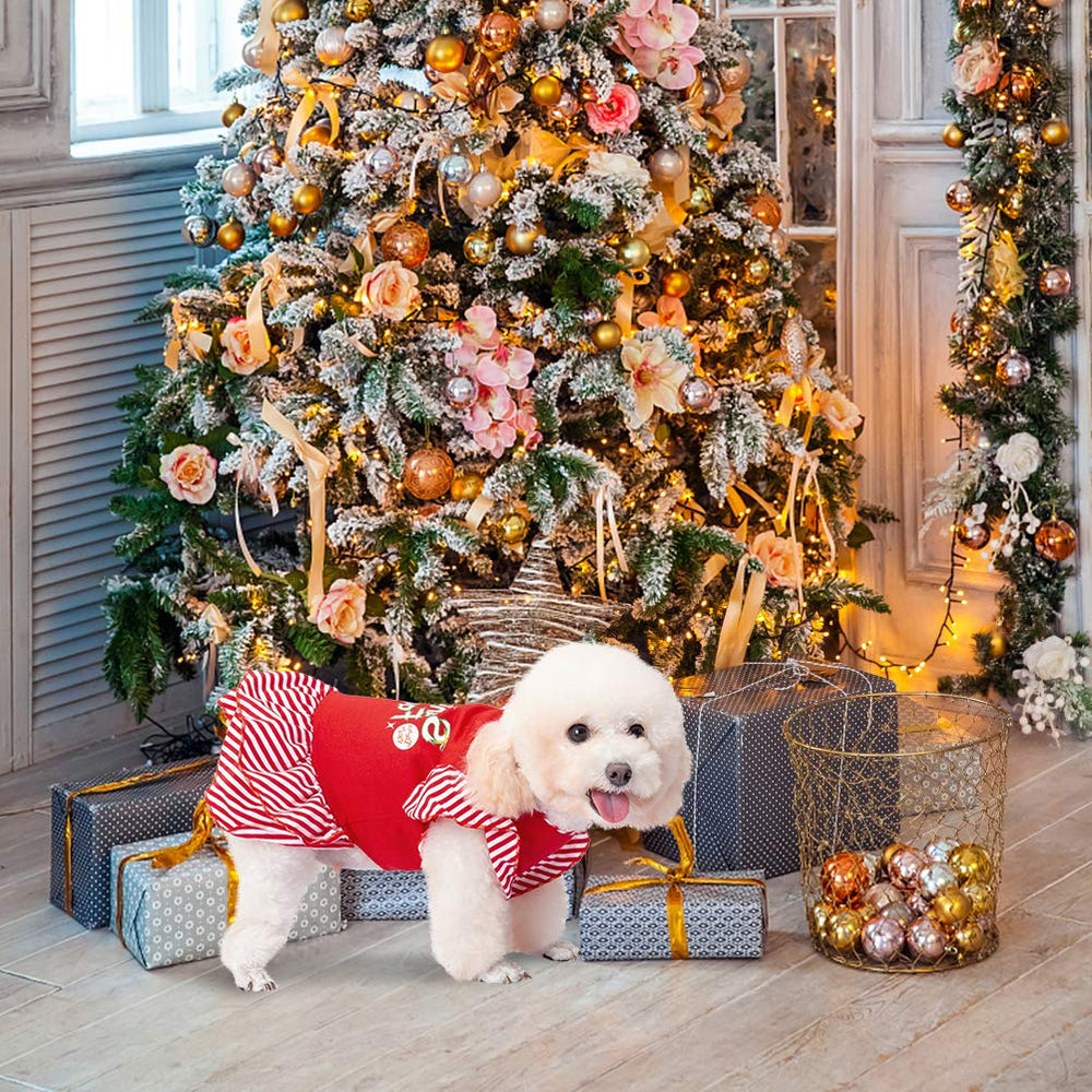 EXPAWLORER dog dress plaid pattern, classic seasonal style for family photos.