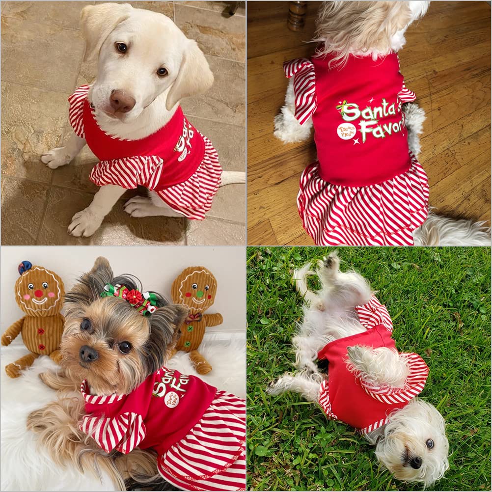 EXPAWLORER dog dress ruffled hem for chic movement.