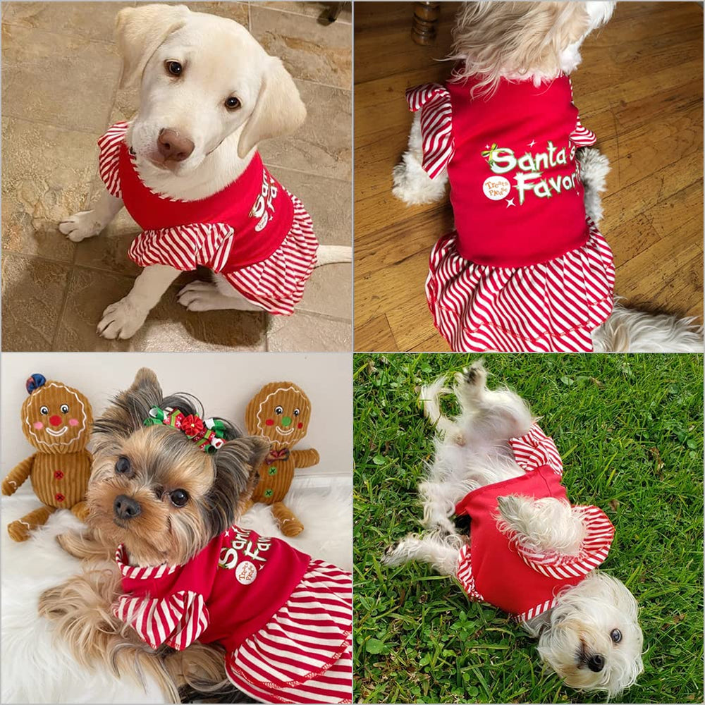 EXPAWLORER dog dress soft fabric close-up highlighting lightweight comfort.