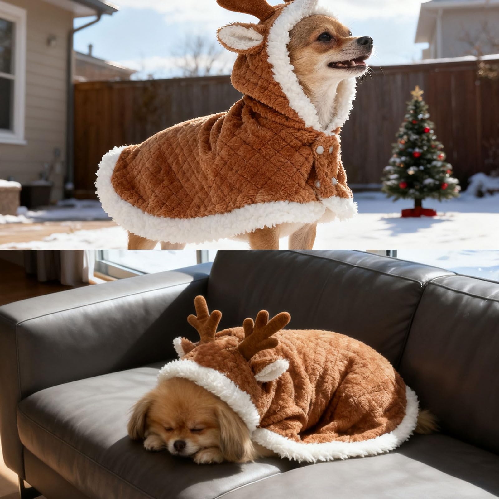 EXPAWLORER dog-festive-apparel-photos enhances holiday memories