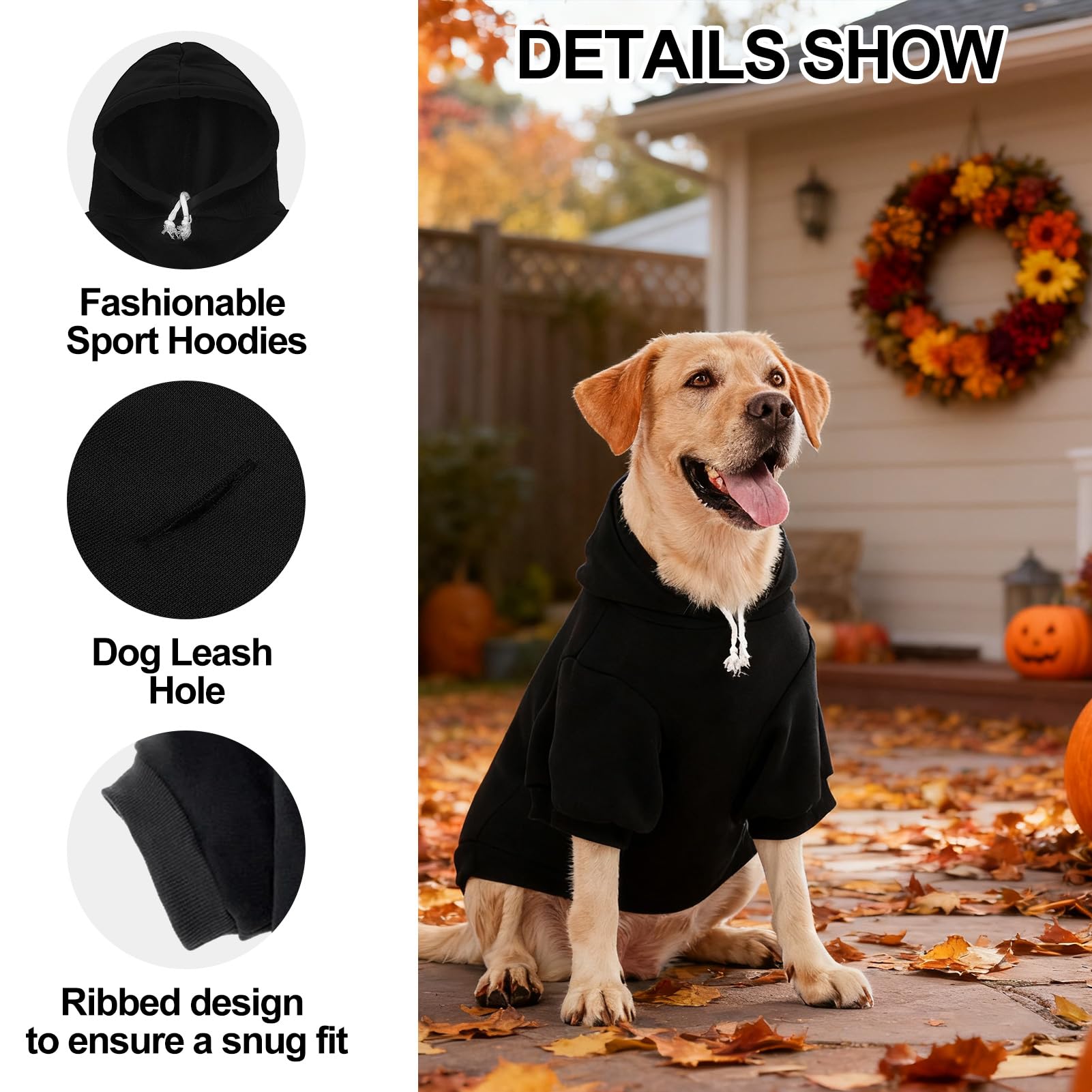 EXPAWLORER Dog Hoodie leash-hole feature demonstrated for easy outdoor walks