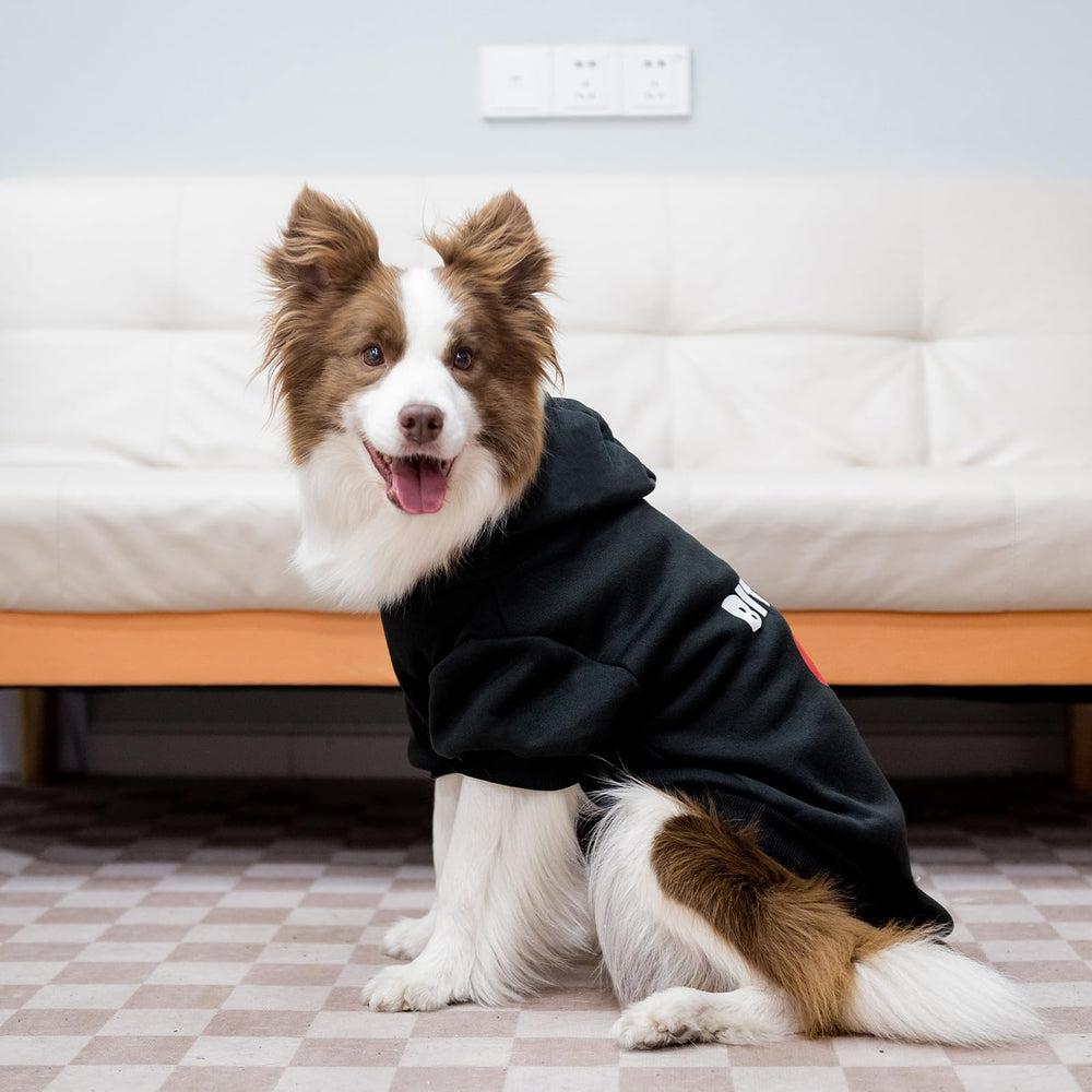 EXPAWLORER size range fits small to large dogs.