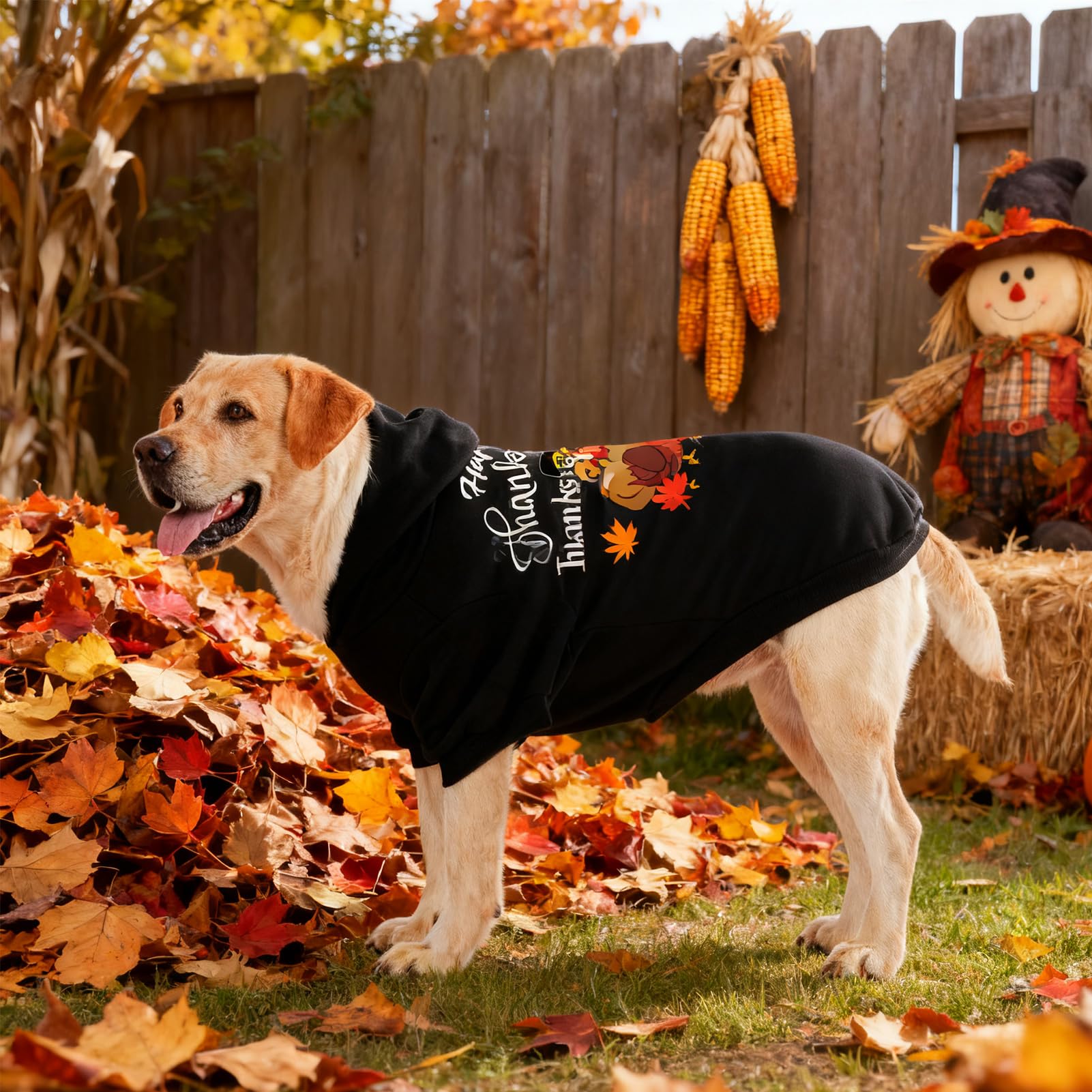 EXPAWLORER Size range hoodie demonstrates versatility across sizes for pets