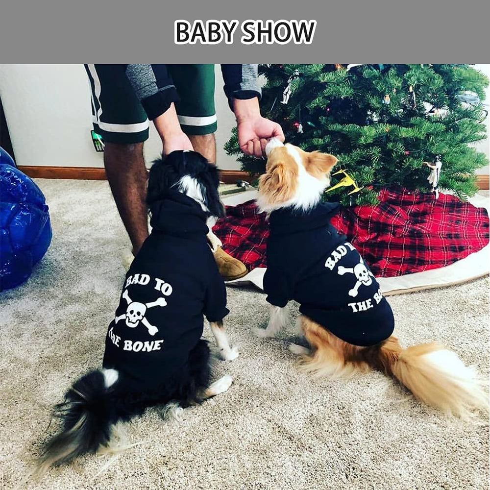 EXPAWLORER dog hoodie size XL label indicating large-dog sizing.
