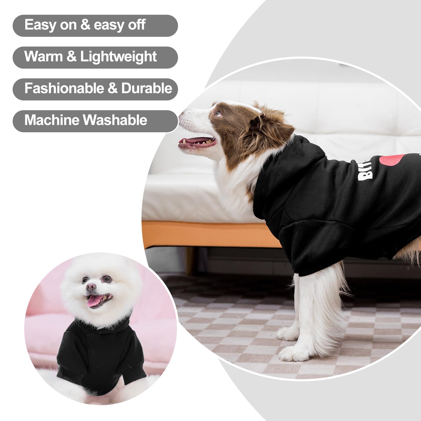 EXPAWLORER sports jacket look helps your pet stand out.