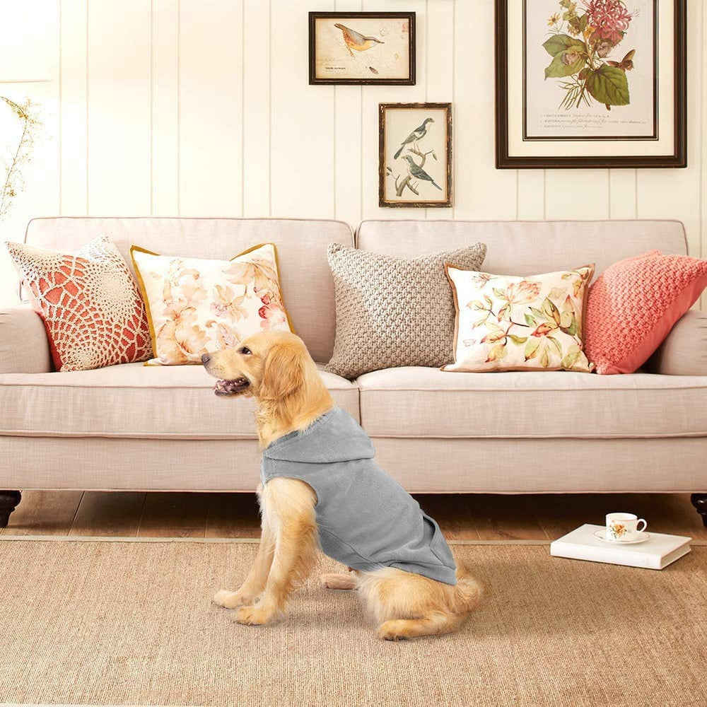 EXPAWLORER dog hoodie worn during a walk for comfort and practicality