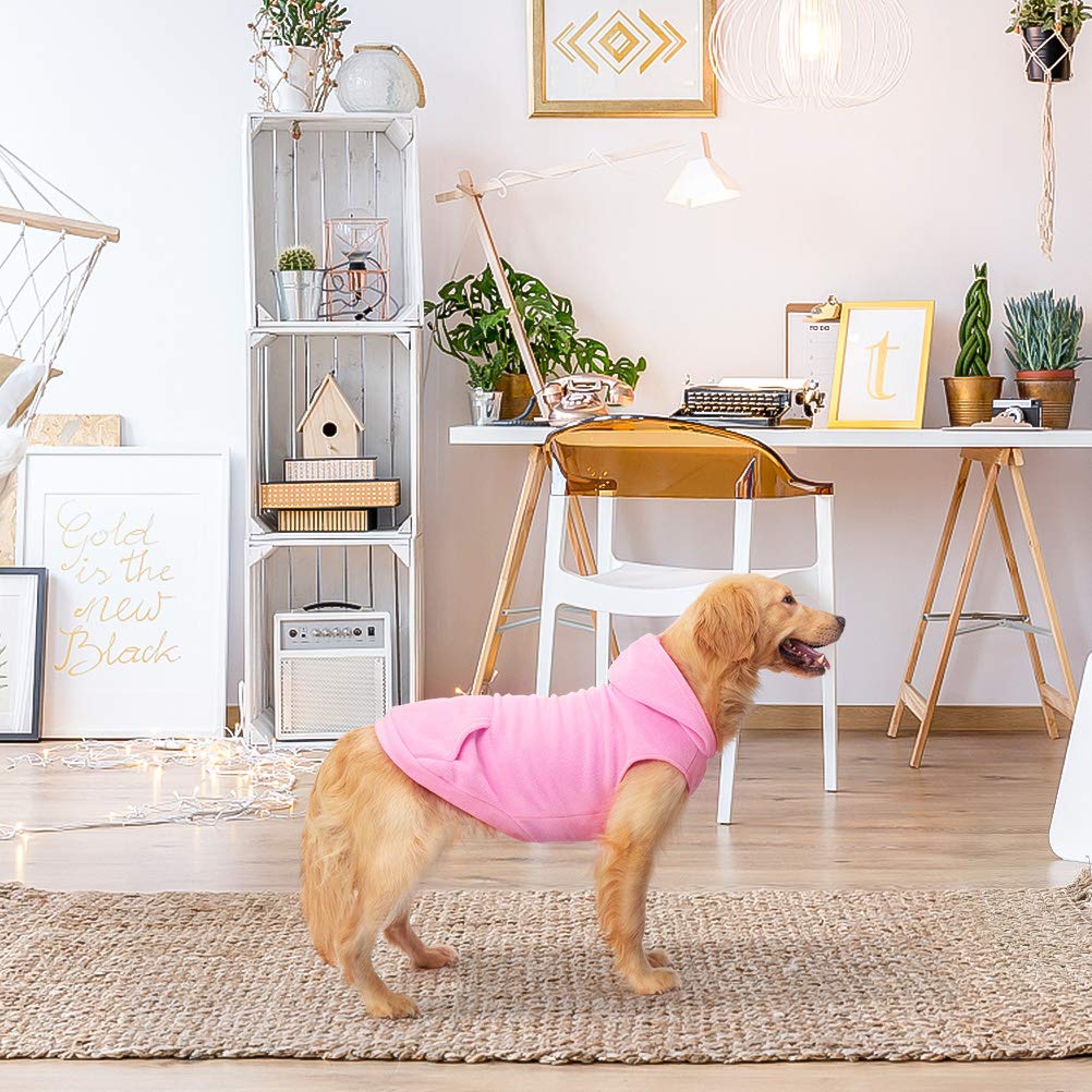 EXPAWLORER wear-and-walk scene featuring comfortable warmth on an outdoor stroll.