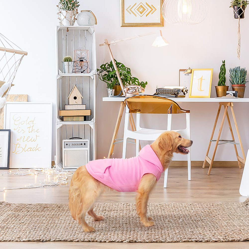 EXPAWLORER wear-and-walk scene featuring comfortable warmth on an outdoor stroll.