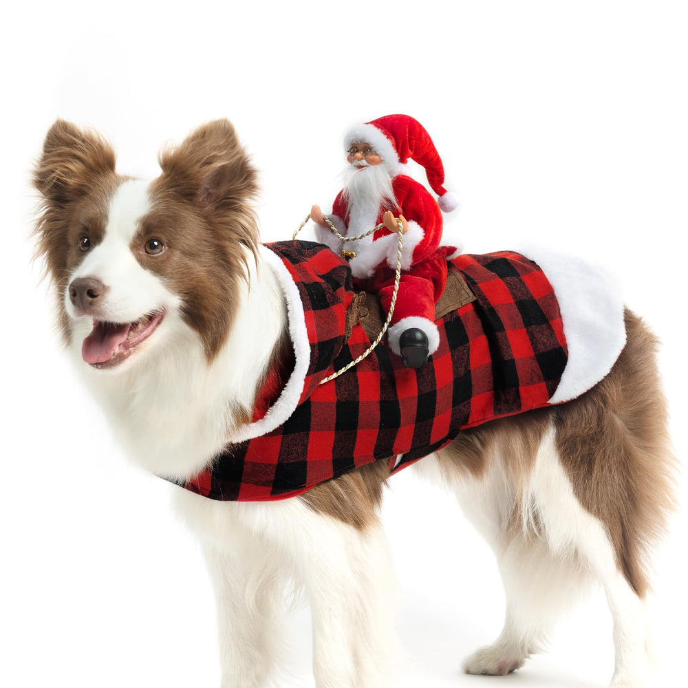 EXPAWLORER Santa costume front view on dog for festive photo op and holiday appeal