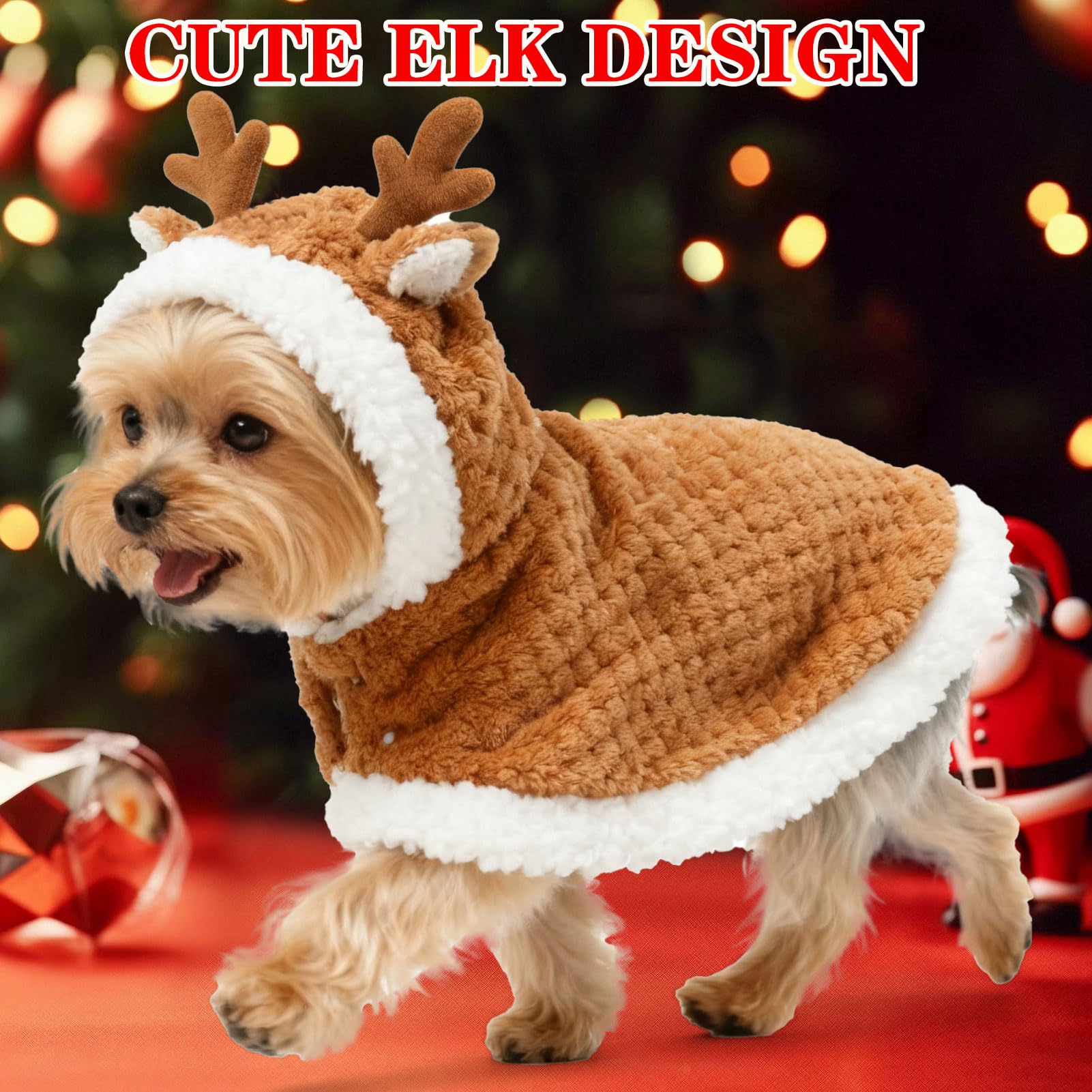 EXPAWLORER dog-secure-fastening prevents slipping for worry-free walks