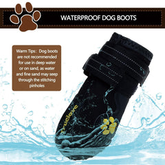 EXPAWLORER hot-ground protection reduces paw heat exposure on sunny days.