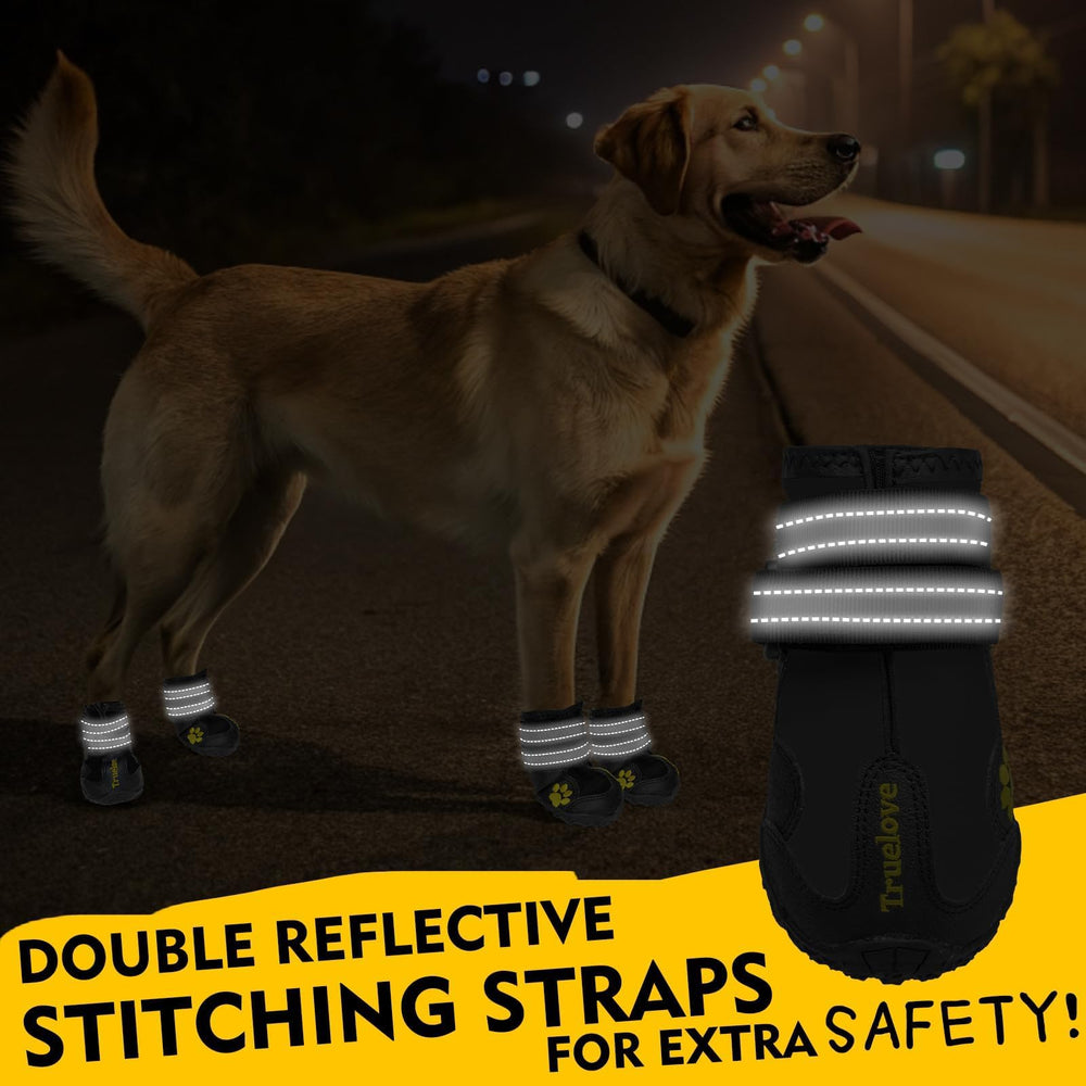 EXPAWLORER pack of four for consistent paw protection across adventures.
