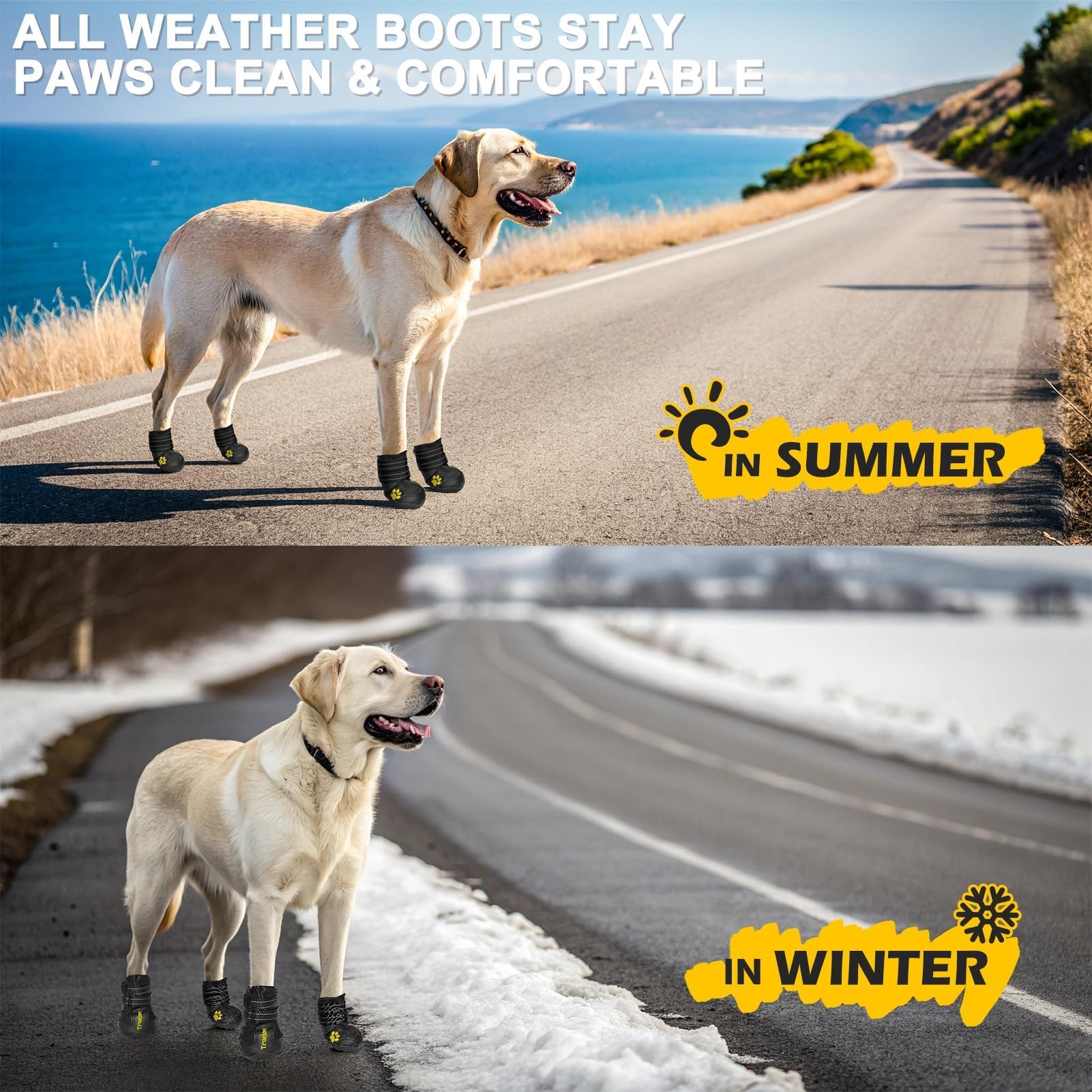 EXPAWLORER anti-slip boots protect indoor floors from curious paws.